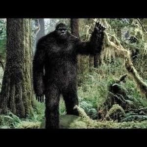 Meet your Posher, Allen